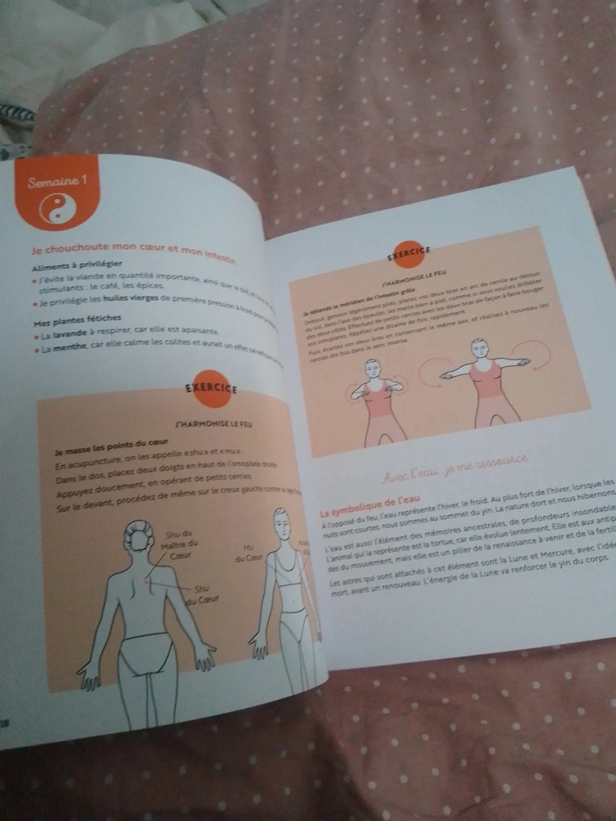 Libro cuidados energéticos cuerpo alma espíritu salud equilibrio – photo 5
